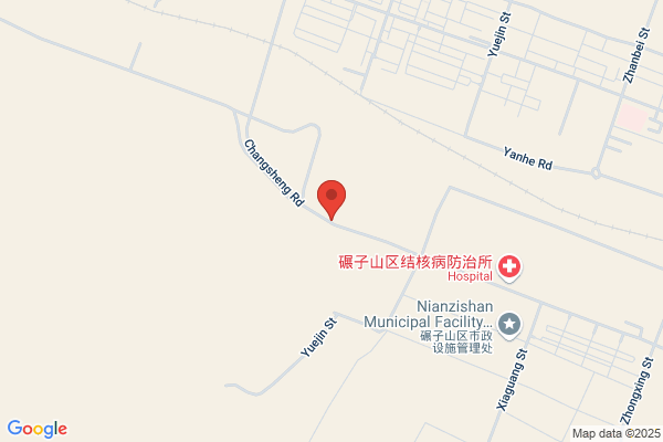 Qiqihar City In Heilongjiang Province Gannanxian Motor Factory
