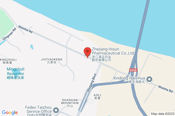 Zhejiang Hisyn Pharmaceutical Co.,ltd (former:xinhua Pharmaceutical Chemical Plant)