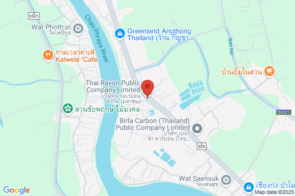 Thai Ribbon County Plant