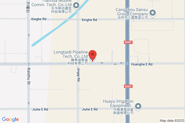 Dingzhou Longyue Technic Wire Co., Ltd.