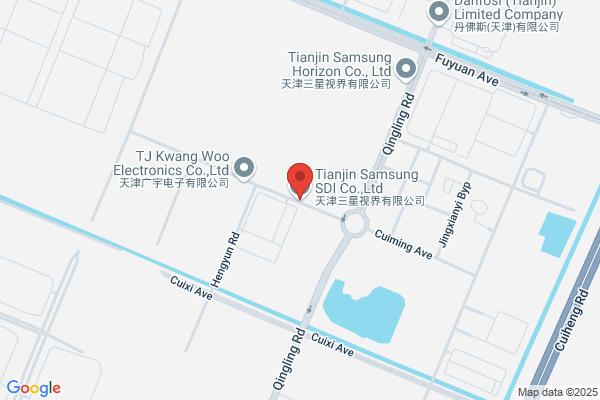 Tianjin-than Disabilities Battery Co., Ltd.
