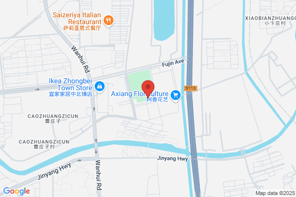 Dyed 11 Plants In Tianjin