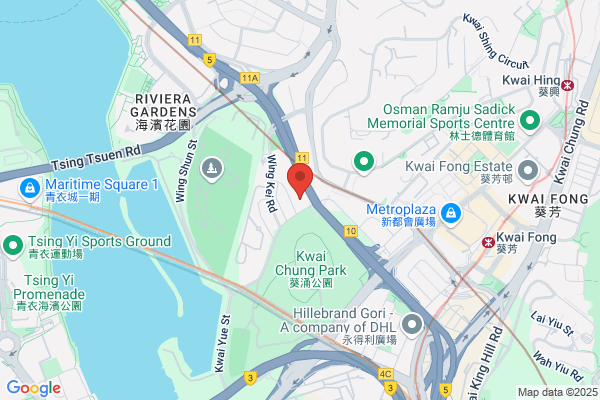 Wing Kin Mfg. Co. (hong Kong)
