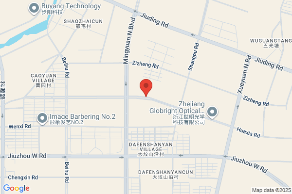 Lin Yan, Zhejiang Light Holdings Ltd.