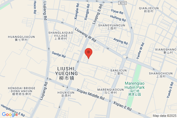 Wenzhou Jinshan Power Plant; Wenzhou Tianlong Electric Manufacturing Co., Ltd.