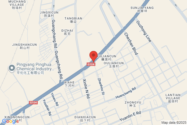Cangnan The Rural Polyester Plastics Factory