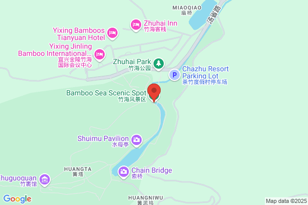 Yixing City, Jiangsu Bamboo Plants