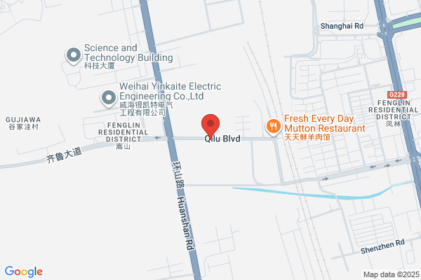 Shandong Dongwei Woodworking Machinery Co., Ltd.