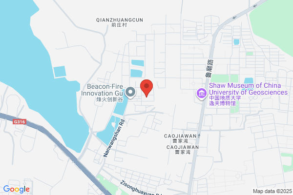 Wuhan Wholenote Electronic Co., Ltd.