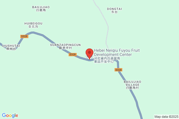 Fruit Disease Institute In Xingtai City