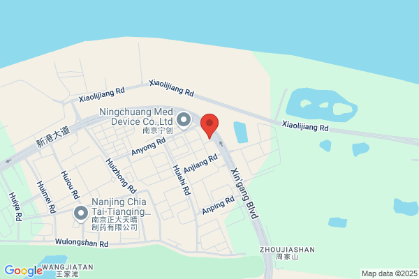 Nanjing Pharmaceutical Co., Ltd.