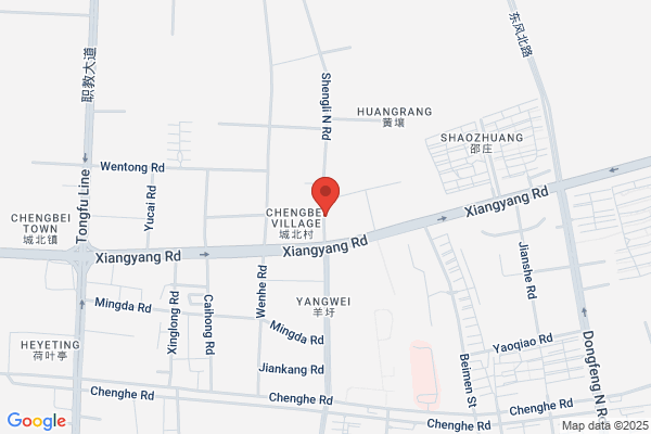Group Of Jiangsu Province, The New Foreign Limited Liability Company