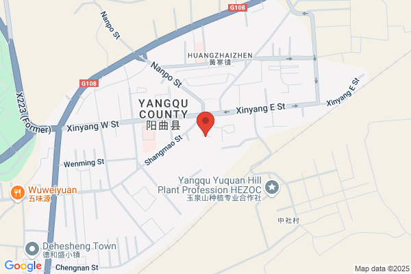 Shanxi Yangquan City Power Plant