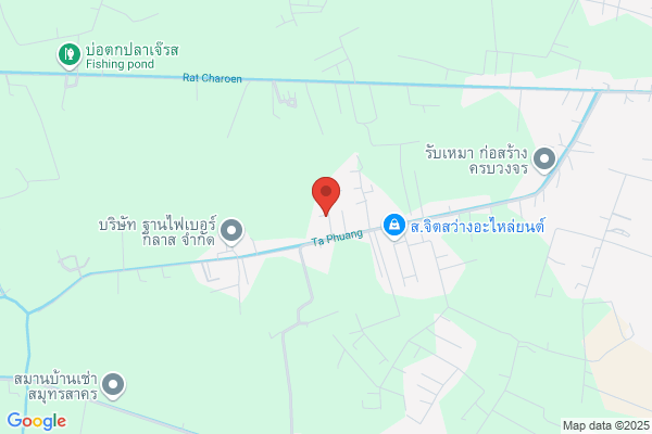 Z. N. T Co., Ltd. (china)