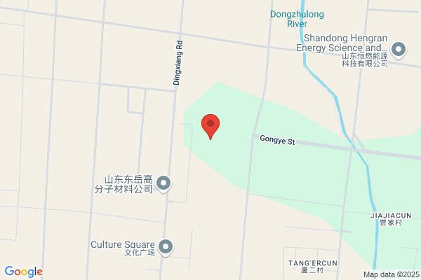 Shandong Dongyue Chemical Co. Ltd
